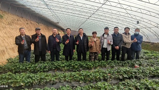 多宝注册网（中国区）首页 | 2022年大力发展种植基地，助农民小康、市民健康
